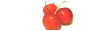 applyhouse.gif