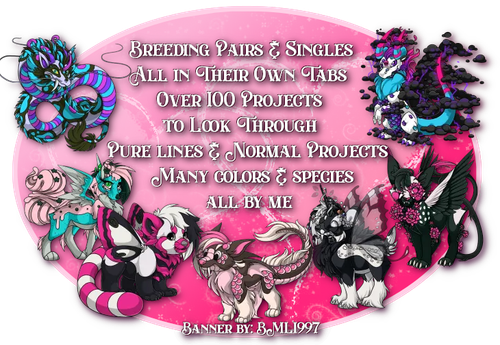 cherish project sales