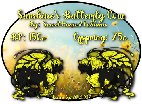 sunshines butterfly cow