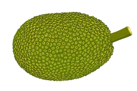 img jackfruit.png