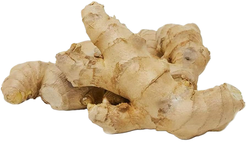 img ginger.png