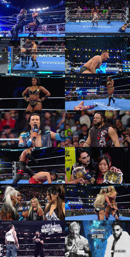 IMG 20260207 194940 252.jpg