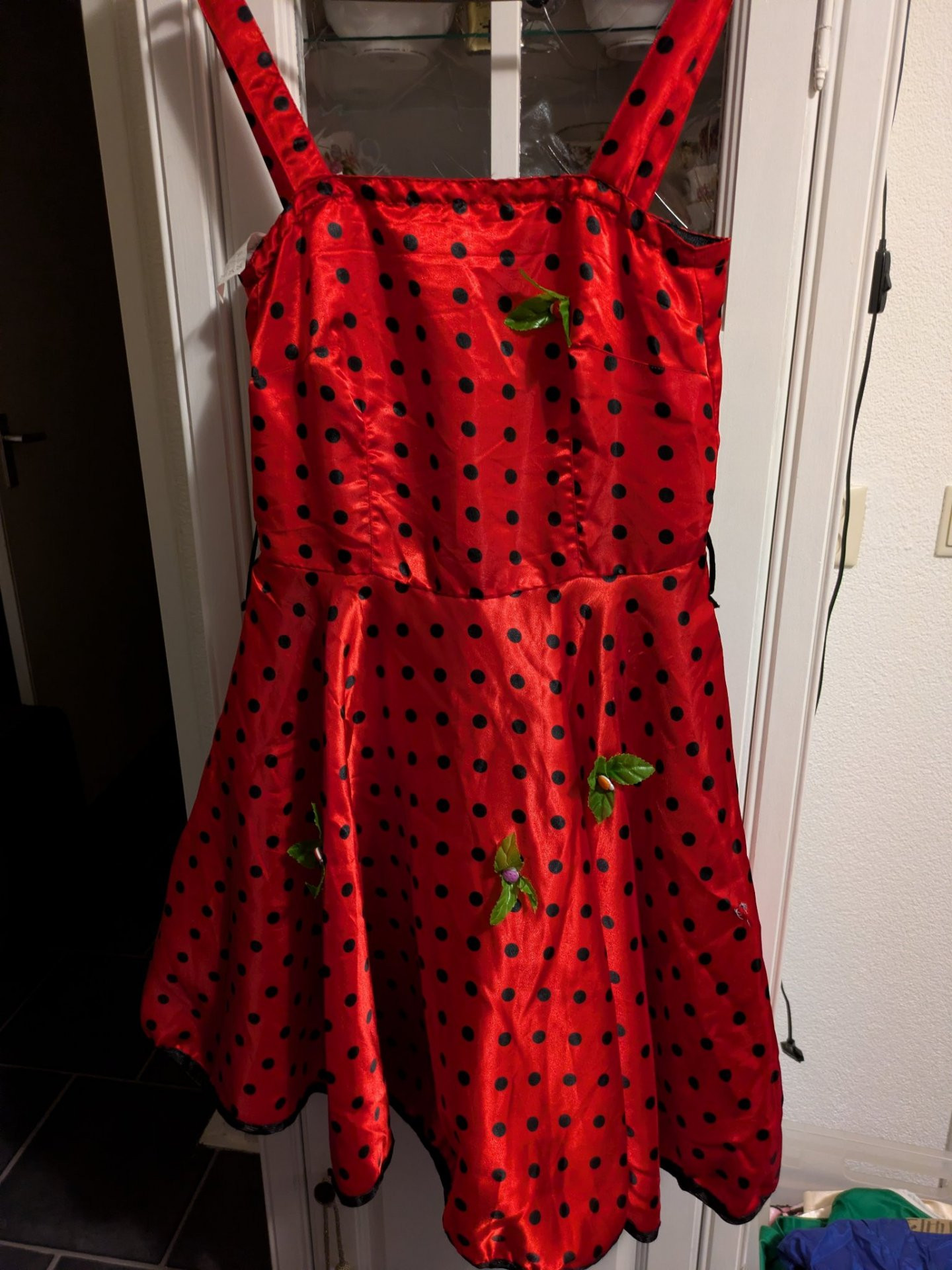 Carnavalskleding - Image 12