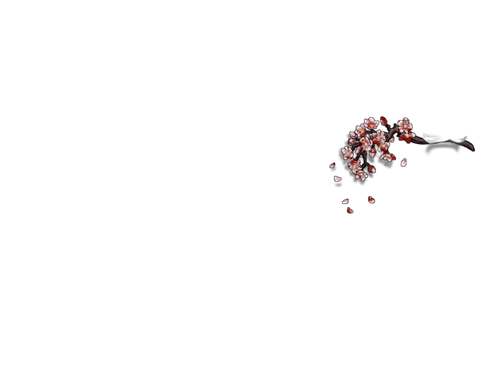 blood pink female.png