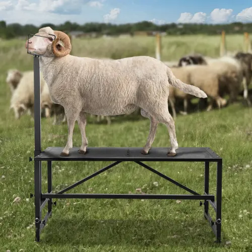 us SCXJJHSYTM519ZQT8V0 original img v2 livestock stand m100 1.12.webp