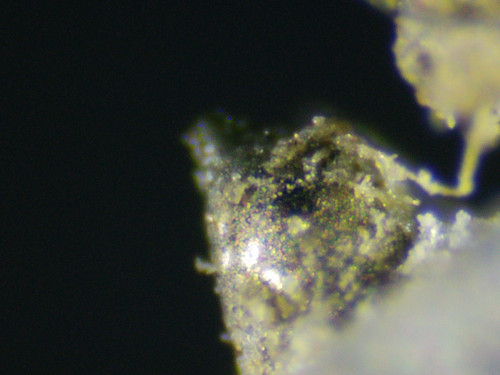 2020 0412 093939 006