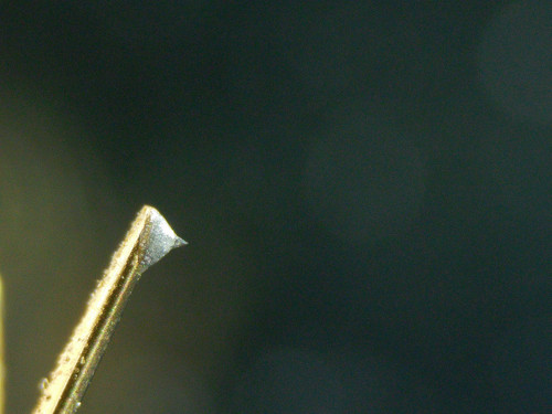 2020 0412 090550 004