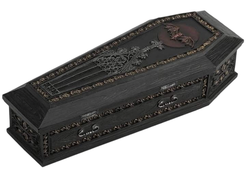 IMG 20260208 073842.png