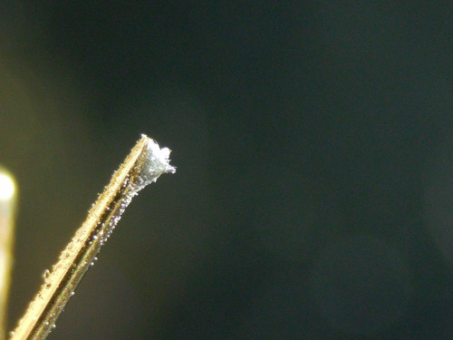 2020 0412 090339 003