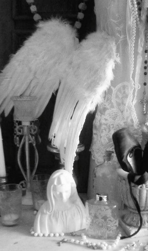 IMG 20260208 074658.jpg