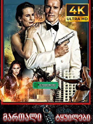 true lies cover.jpg