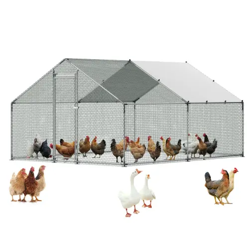 us JSJS342MJDDMF1LS3001V0 original img v2 metal chicken coop m100 1.2.webp