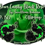 sour candy black rose