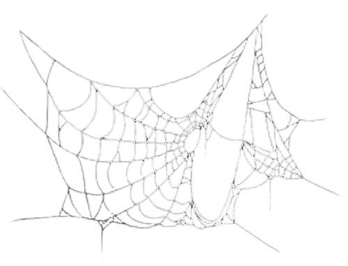 IMG 20260207 172020.png