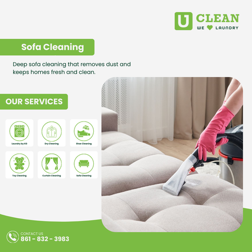 Schedule sofa cleaning today for a cleaner living room..png