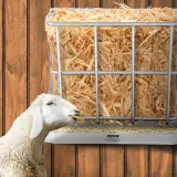 us SCWSQEHYBGSWCN87VV0 original img v2 livestock hay feeder m100 1.12
