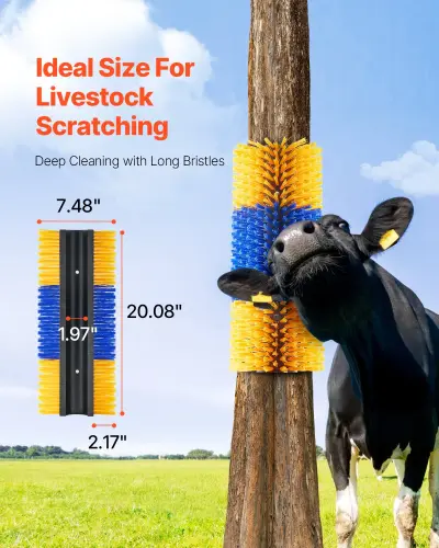 us SCZNS4JDH0003UMO6V0 original img v1 livestock scratch brushes f1.webp