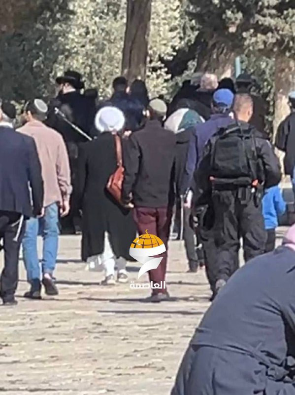 جماعات الهيكل تطالب بفتح الأقصى لتنفيذ اقتحامات موسعة في رمضان!

▫طالبت جماعات "الهيكل المزعوم" بفتح المسجد الأقصى أمام اقتحامات المستوطنين في العشر ا...