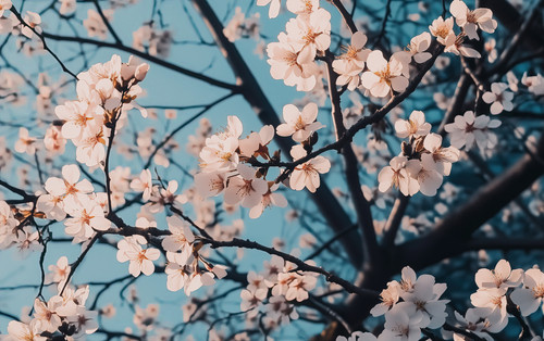 nbplopes httpss.mj.run9Qqb rHW SA I would like a wallpaper that 55536033 272b 44b7 889a 1ee334a9a476