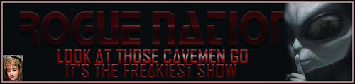 SHH Banner.jpg