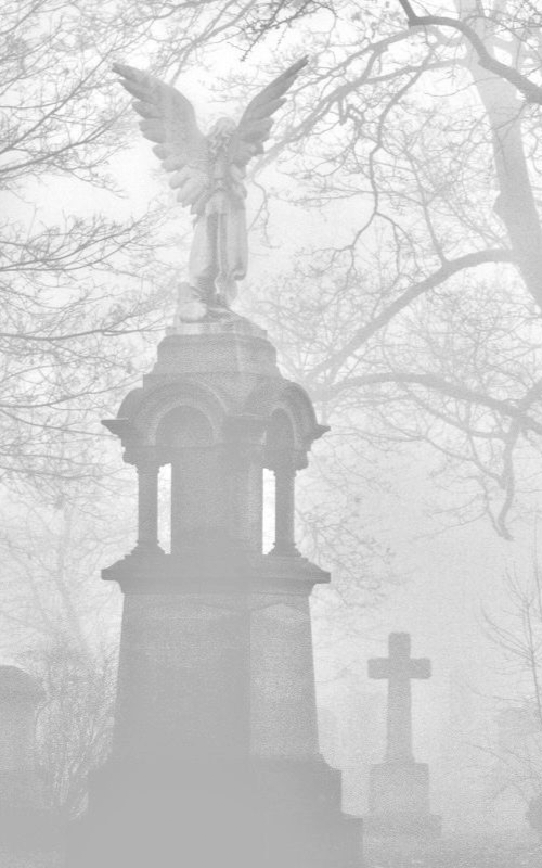 IMG 20260208 075557.jpg