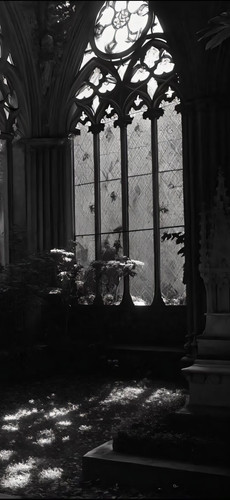 Image 1770508313026 928.jpg