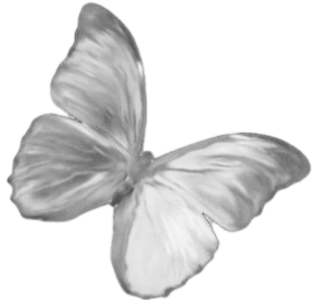 IMG 20260208 080327.png