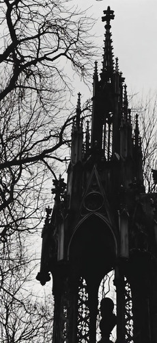 Image 1770508670595 27.jpg