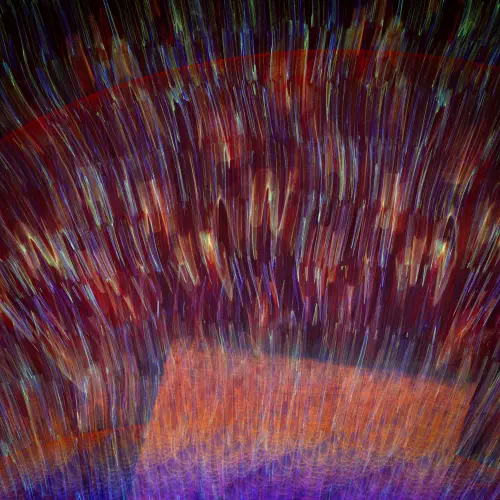 It Is Legal To Have Fun Alone.webp