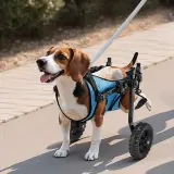 us CWLYLLSXHSLLCWMCK001V0 original img v1 dog wheelchair m100 1.12