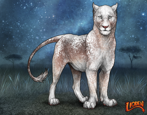 lioden wardrobe (90).png