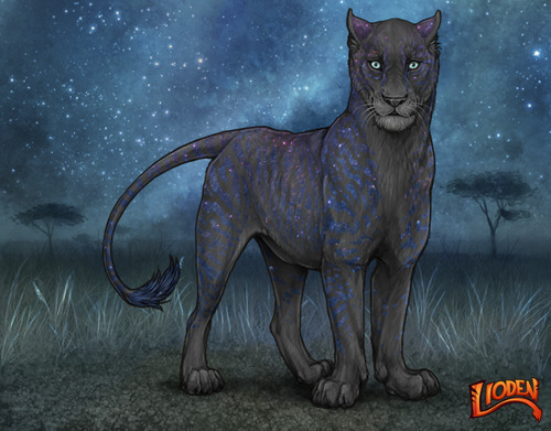 lioden wardrobe (92).png