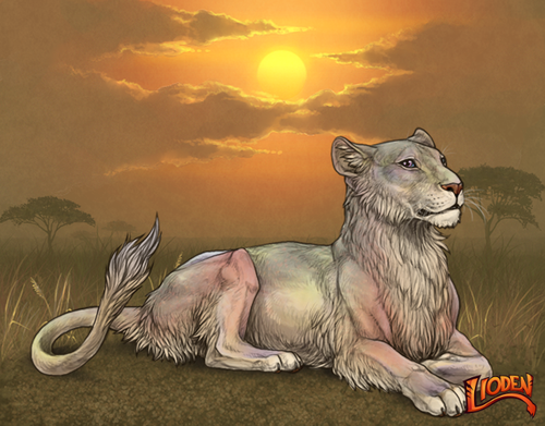 lion 794242251335.png