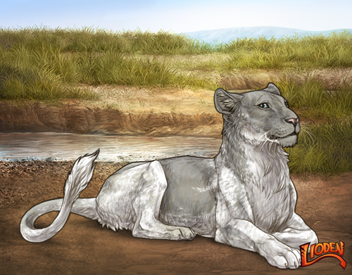 lion 794251146738.png