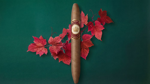 generated image 1764437909082.jpg