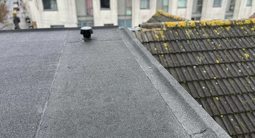 C1508EEB 3858 420C 86DB 655001F8BE7E ezgif.com webp to jpg converter.jpg