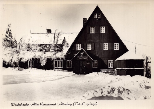 Waldschenke, altes Raupennest, Altenberg ghz.jpg