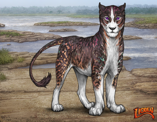 lioden wardrobe (85).png