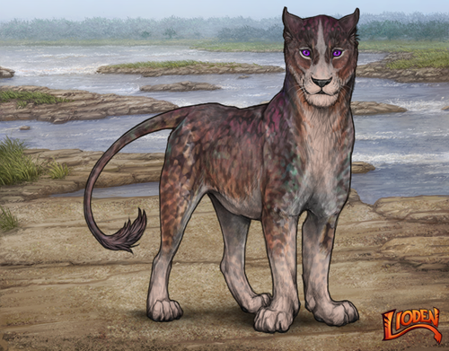 lioden wardrobe (84).png