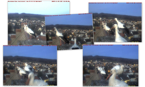 Bilder1.jpg