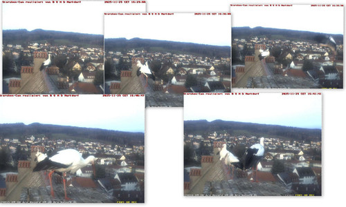 Bilder.jpg