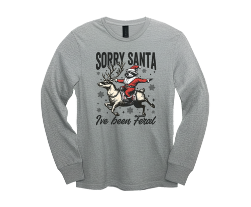 tscsrysntabnferalls sgry.png