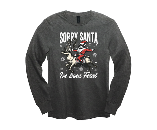 tscsrysntabnferalls hgry.png