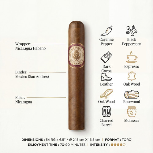 generated image 1764415824969.jpg