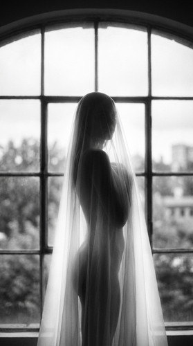 b7b927ca db8b 45ac 904d 9be5d3d2eac2