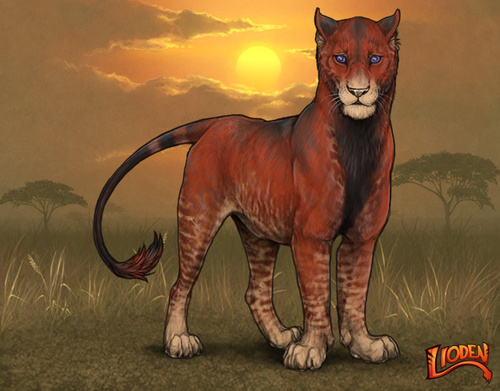 lioden wardrobe 2025 11 29T134038.812.png