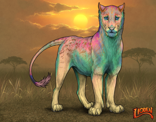 lioden wardrobe 2025 11 29T134219.830.png