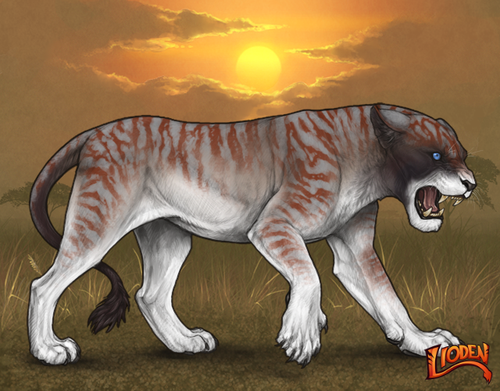 lioden wardrobe 2025 11 29T133841.864.png