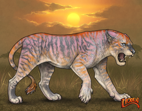 lioden wardrobe 2025 11 29T134633.954.png