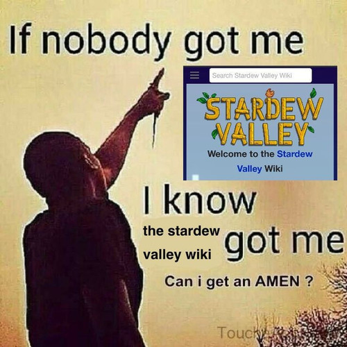 1000021013.jpg